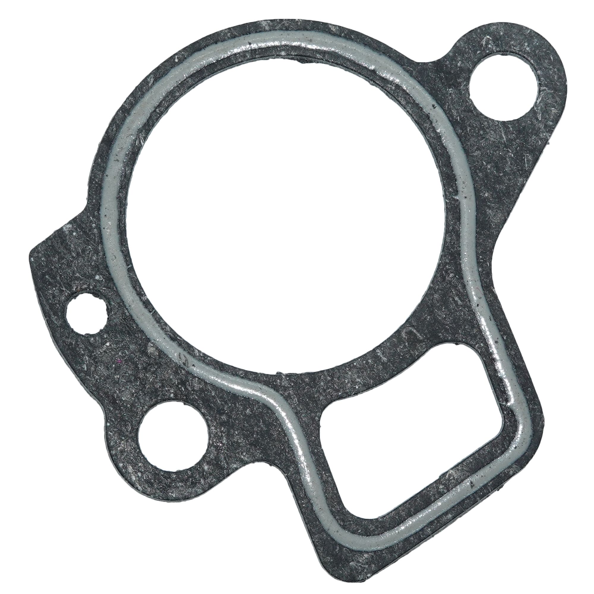 Thermostat Gasket