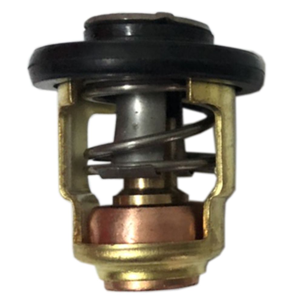 Yamaha Thermostat