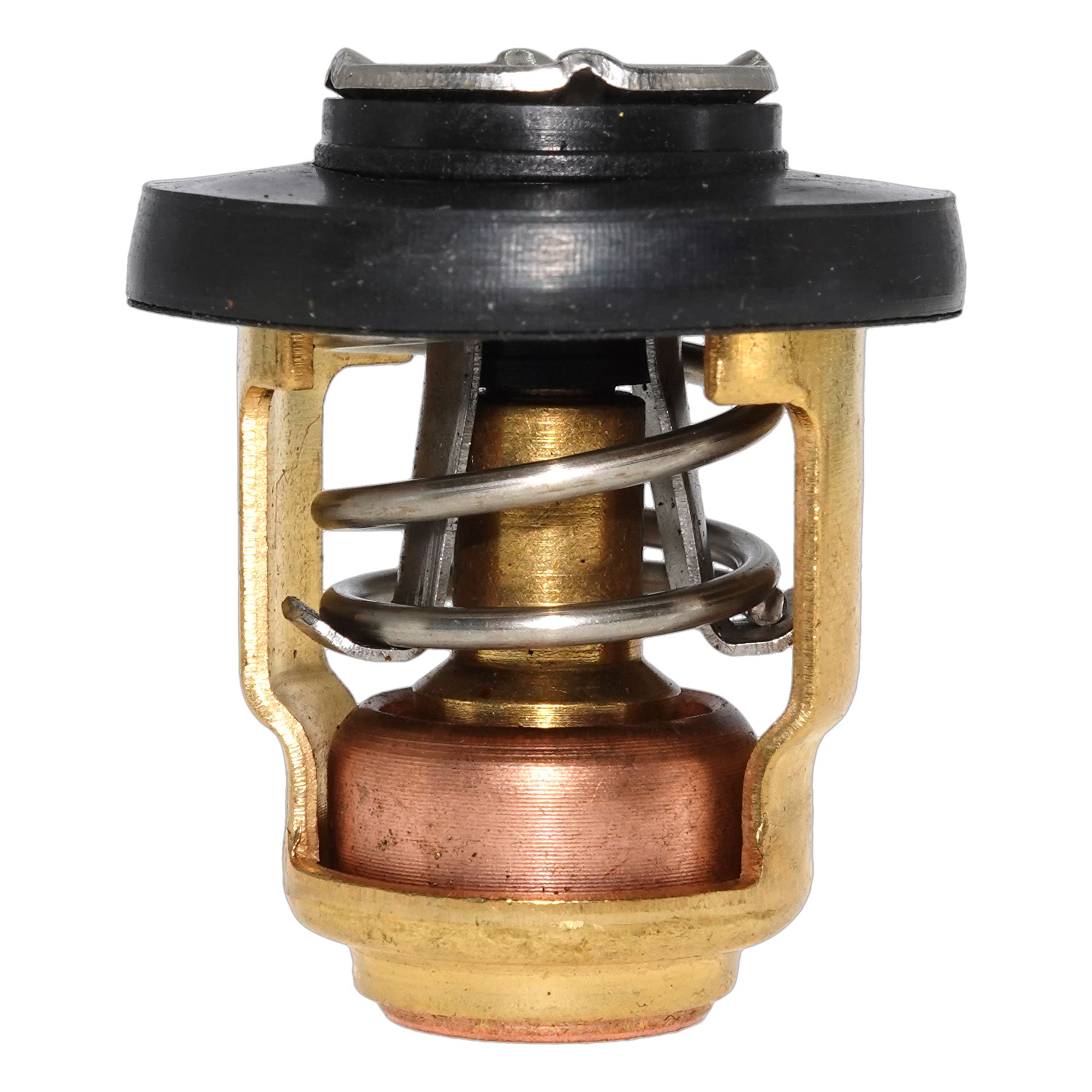 Yamaha Thermostat